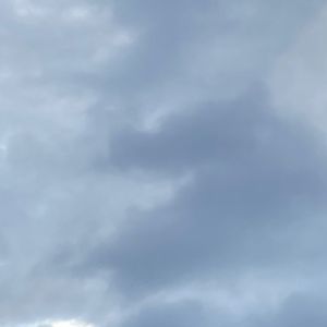 Meet your Posher, Isabel